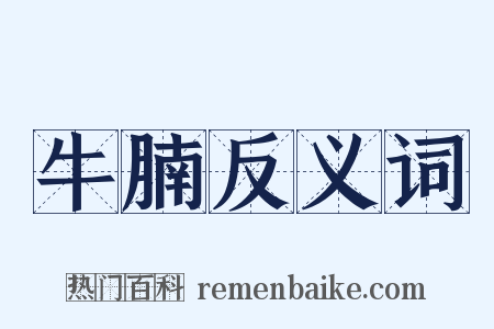 牛腩反义词是什么意思的图片